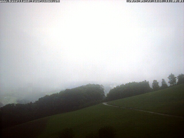 22.05.2025 12:27
