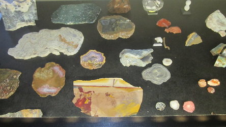 Geolgie