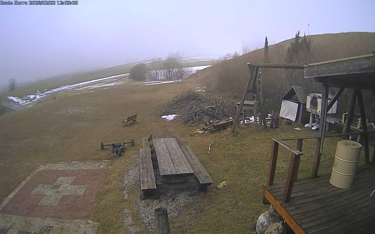 22.02.2026 12:02