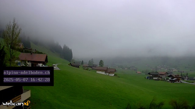 44h ago - 16:42
