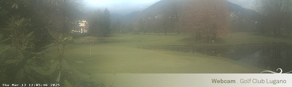 13.03.2025 12:06