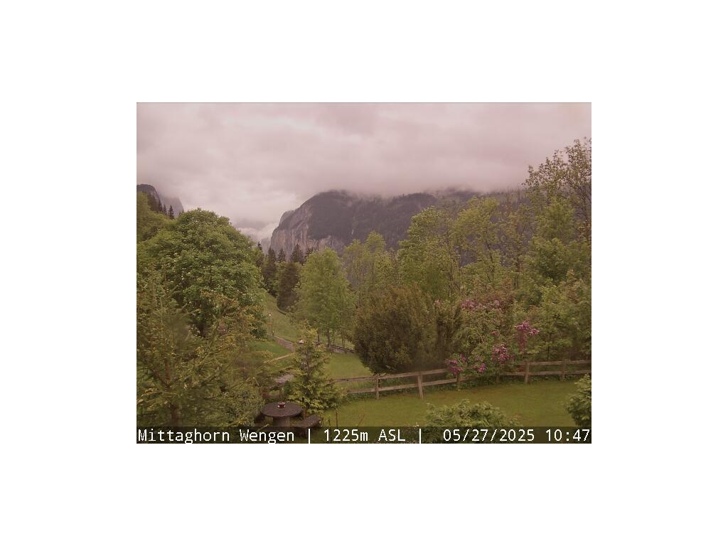 43h ago - 12:15