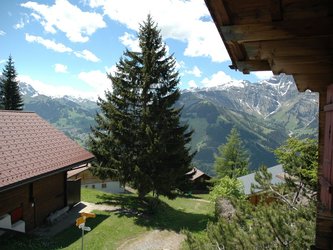 Foto 21