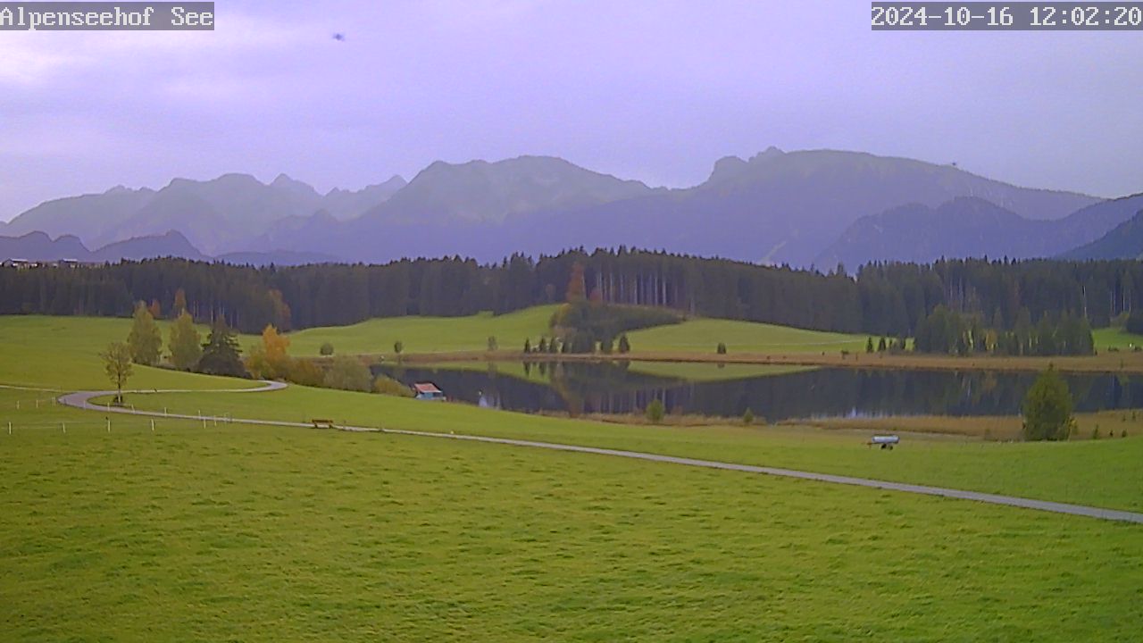 16.10.2024 12:02