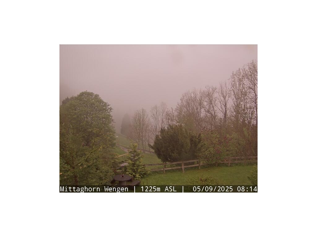 20h ago - 09:42