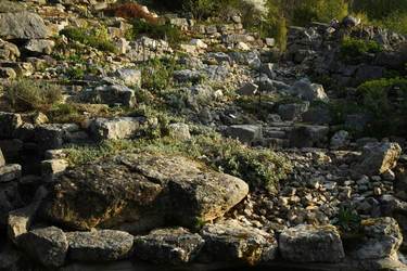 Nature et dessin cours 1-2 et 3 - 1
