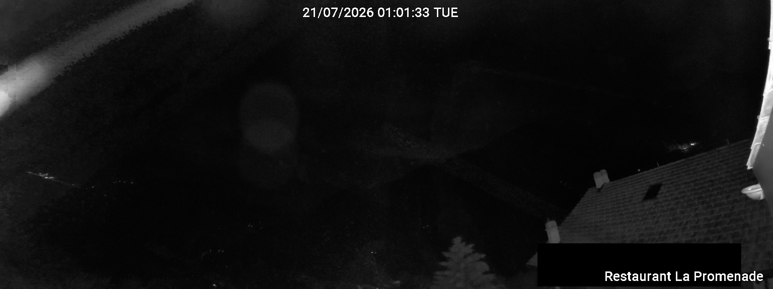 40h ago - 02:01