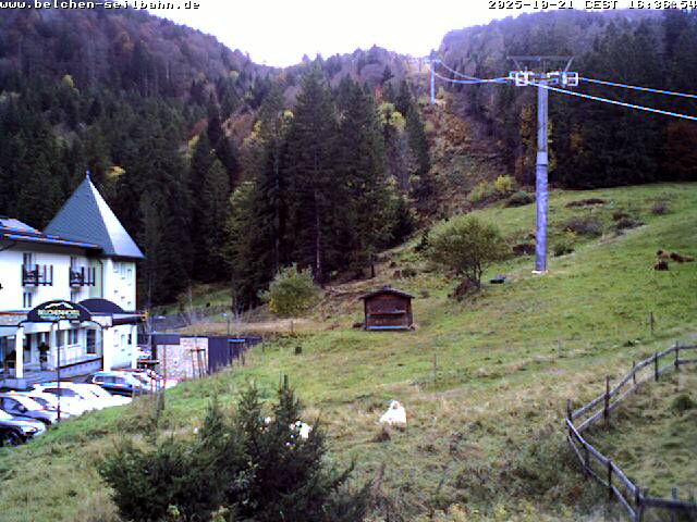 38h ago - 15:31
