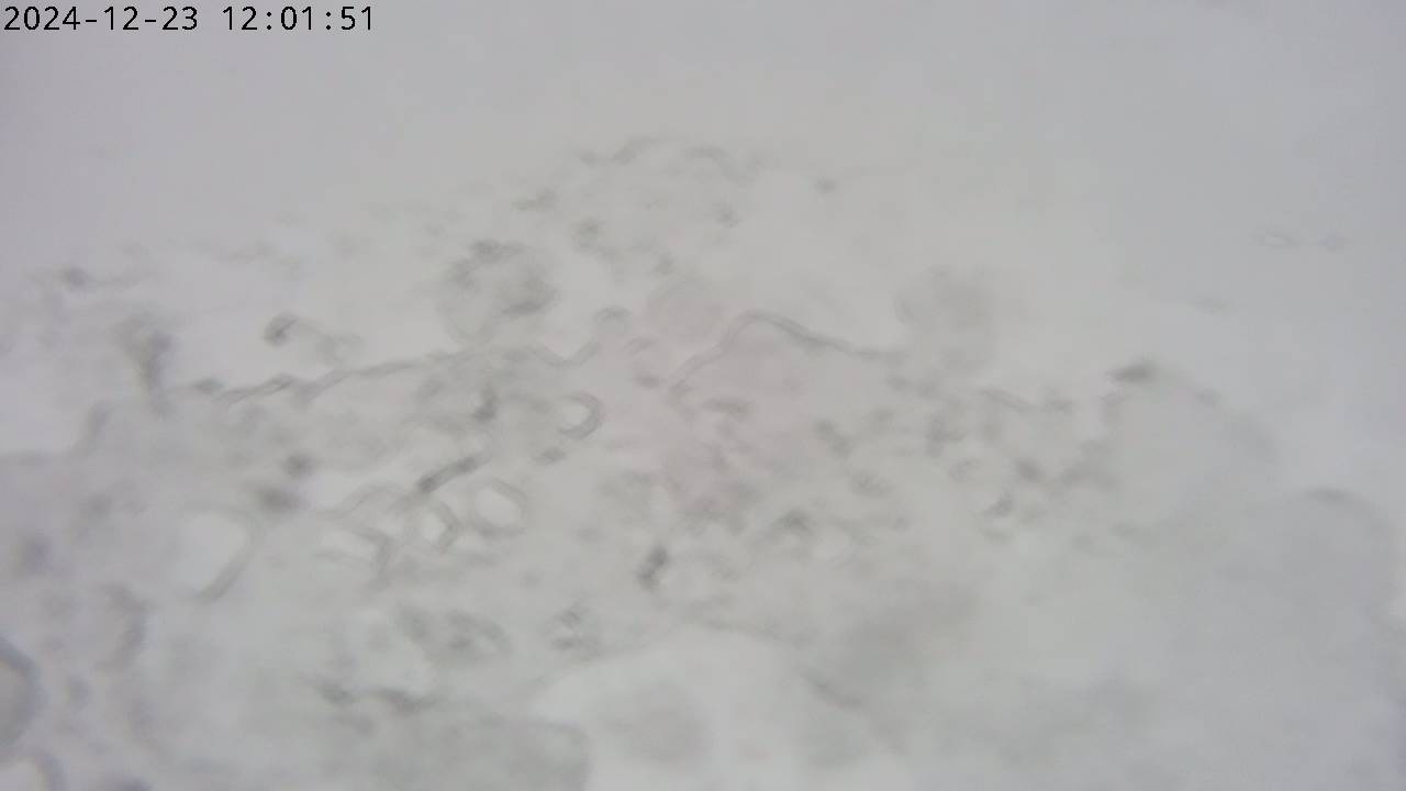 23.12.2024 12:02