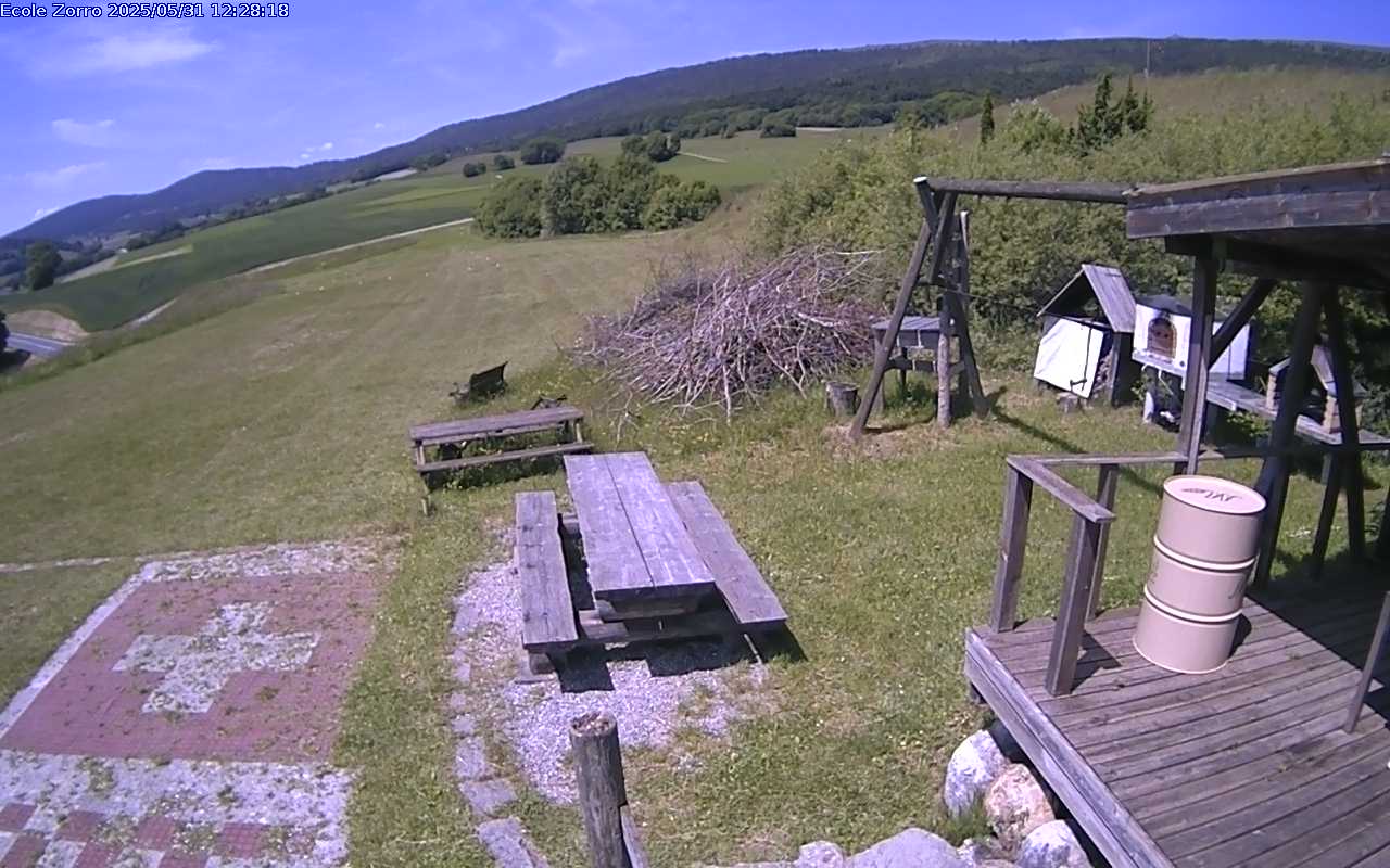 31.05.2025 12:25