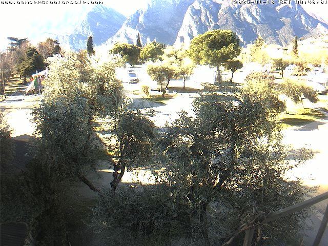 18.01.2025 12:08
