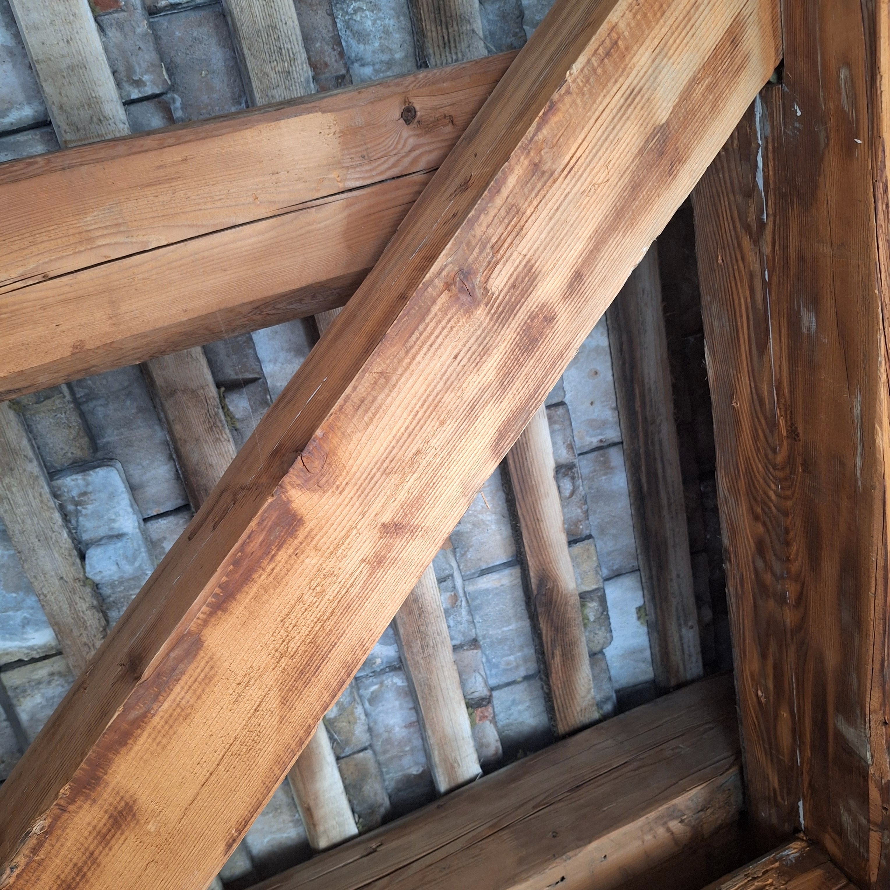 Autorenlesung im Glaskubus: Ein Dach über dem Kopf und Bücher in der Hand