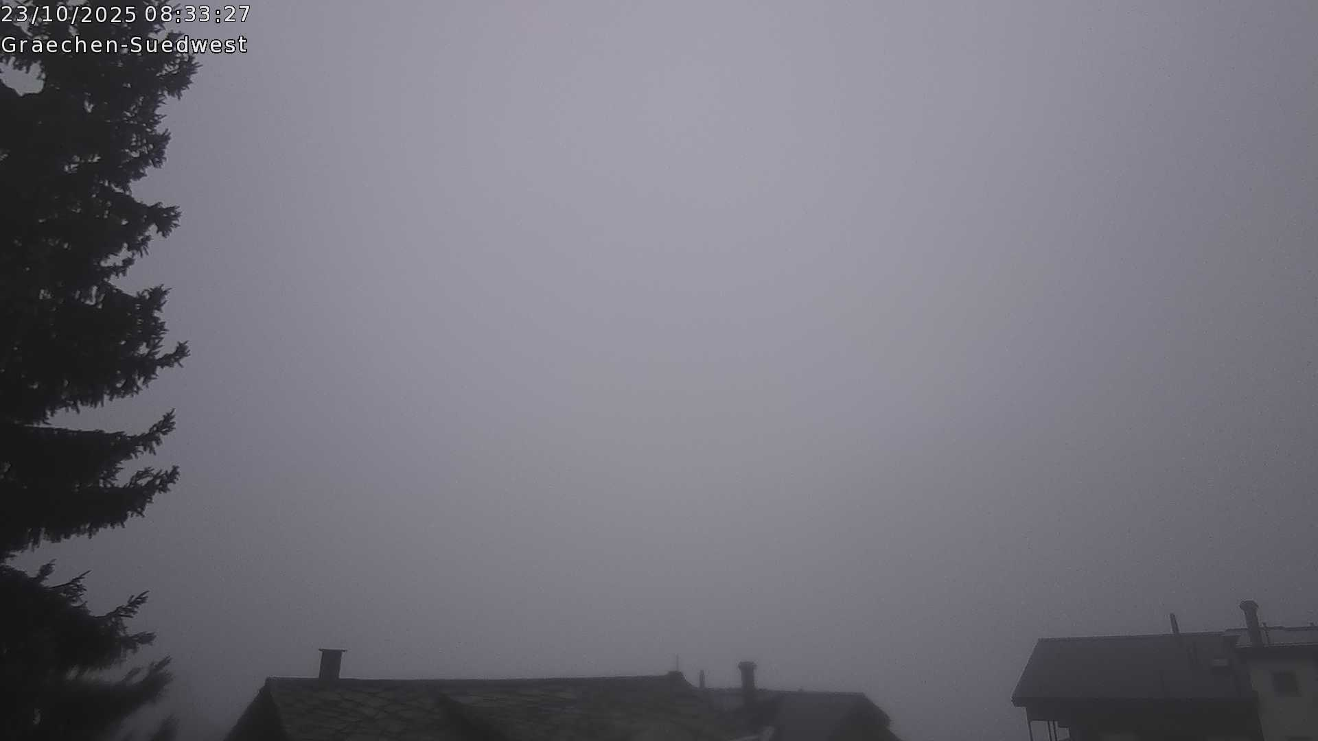 3h ago - 08:31