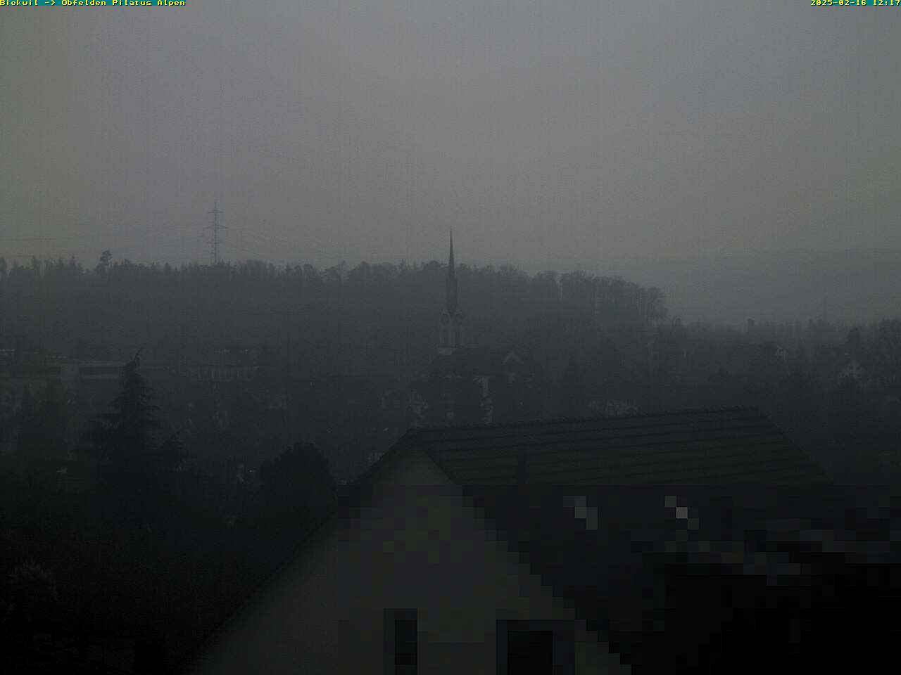 16.02.2025 12:17