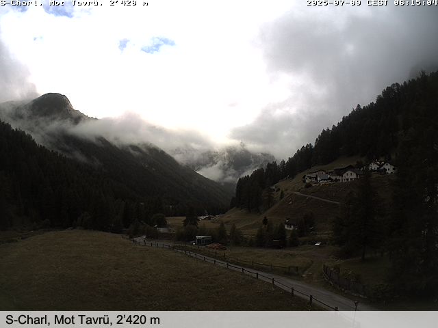 3h ago - 08:01