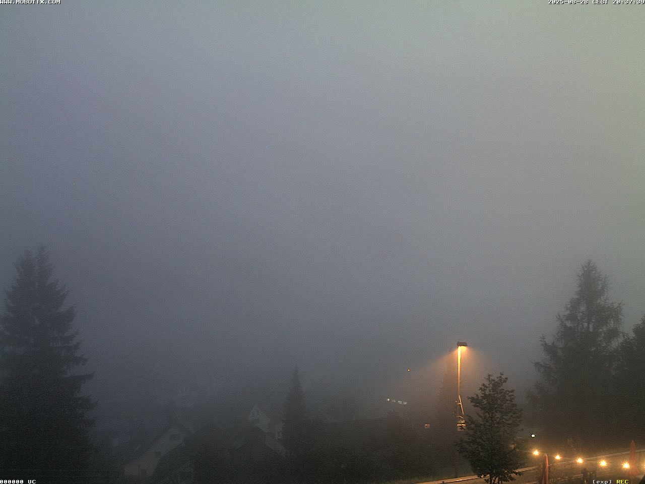 6h ago - 20:31