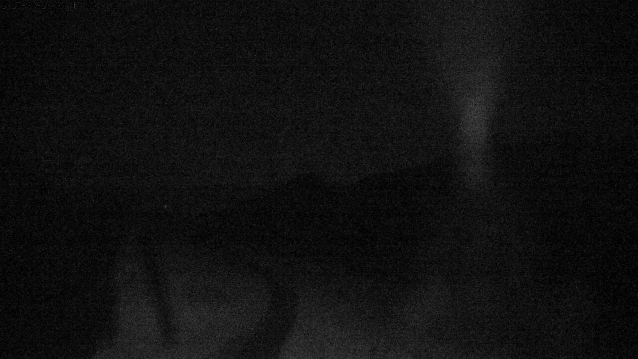 21h ago - 04:17