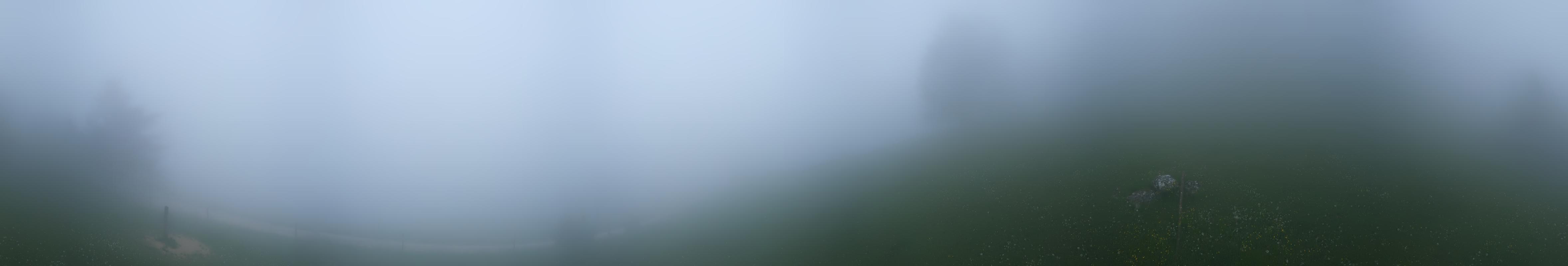 44h ago - 19:12