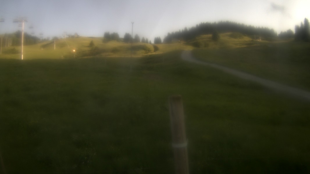 35h ago - 19:31