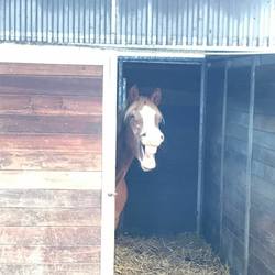 Hofladen La Ferme Aux Cretegny - 1