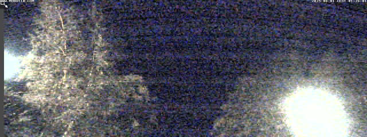 31h ago - 01:31