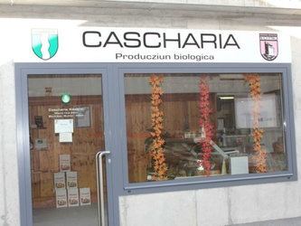 Betriebsbesichtigung Cascharia in Lumbrein