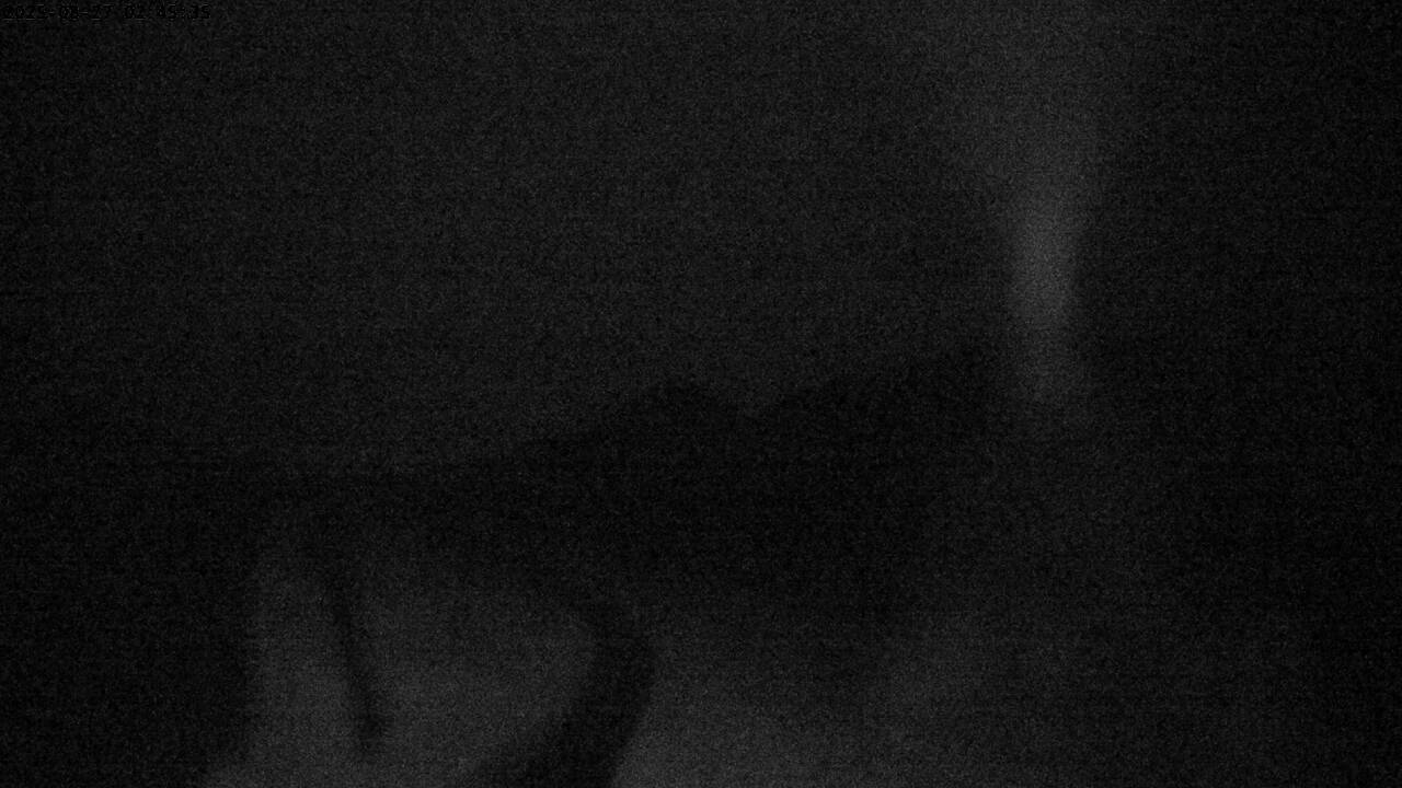 2h ago - 02:45