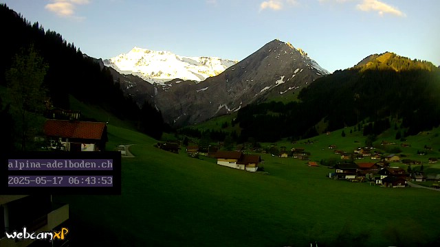 3h ago - 06:43