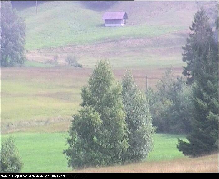 17.08.2025 12:10