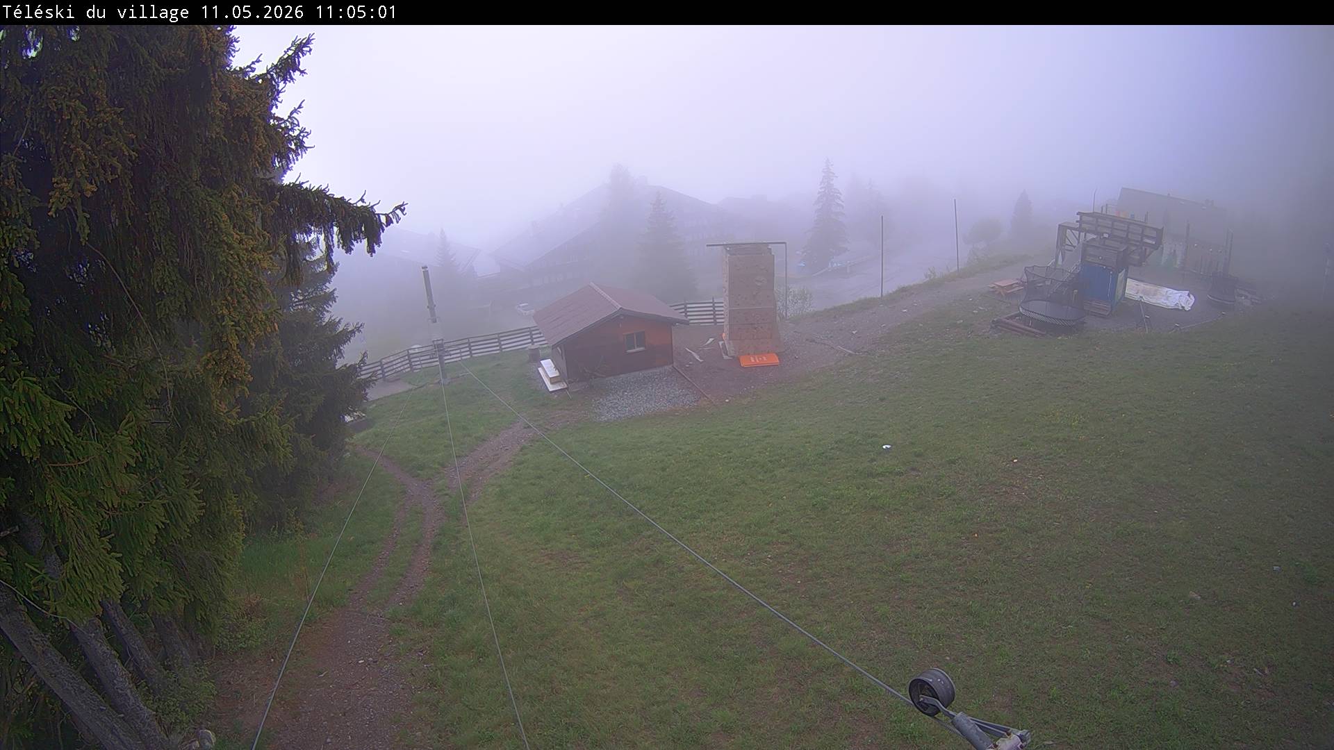 29h ago - 11:05