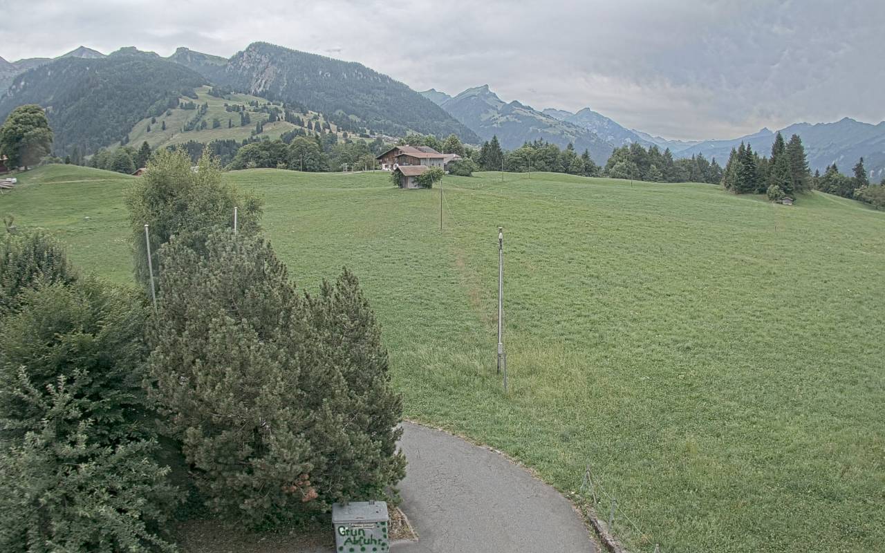 06.07.2025 12:25