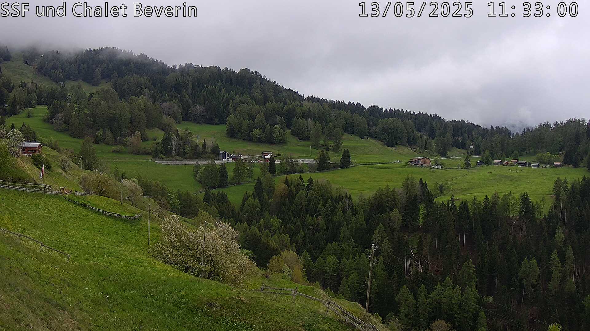3h ago - 11:33