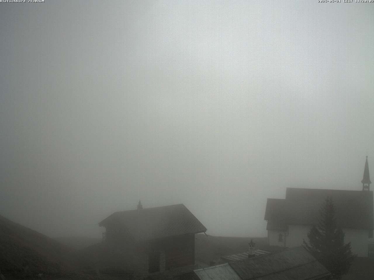 21.05.2025 12:06