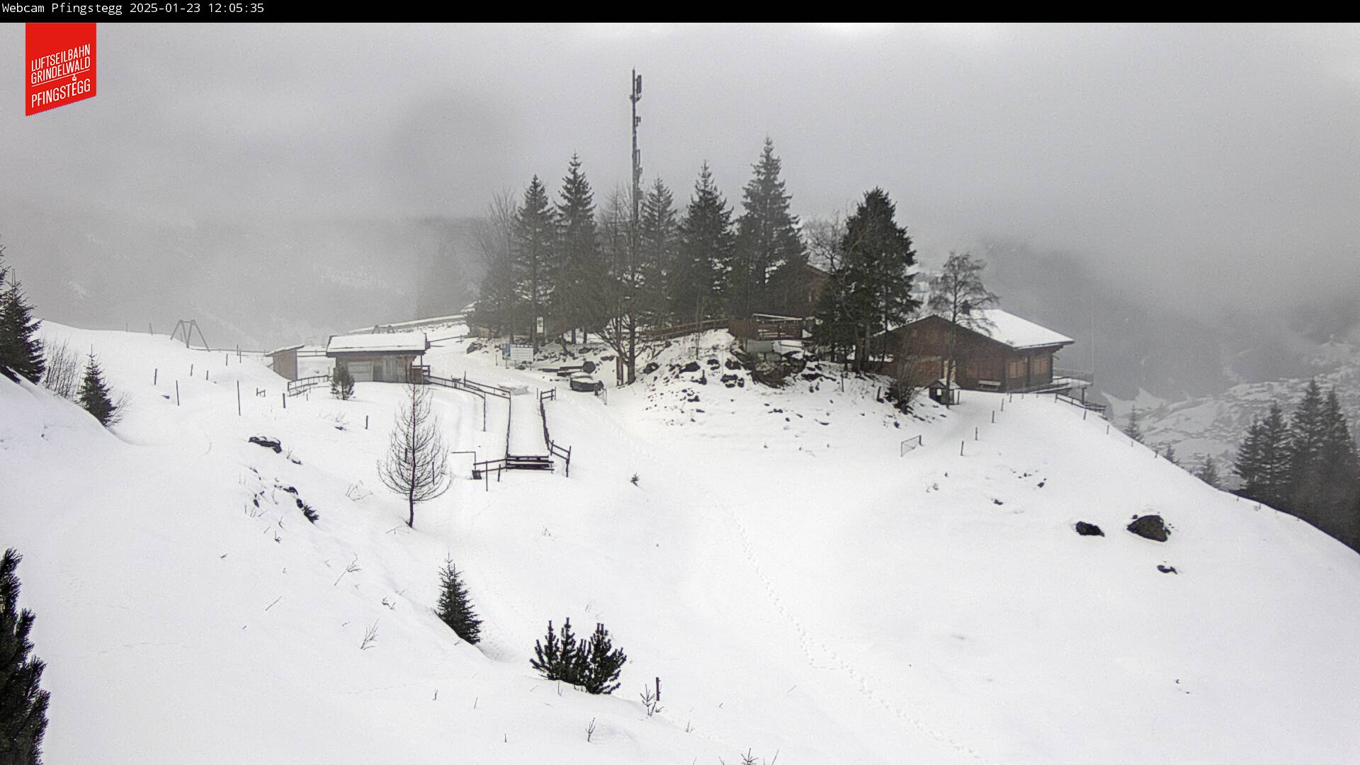 23.01.2025 12:06
