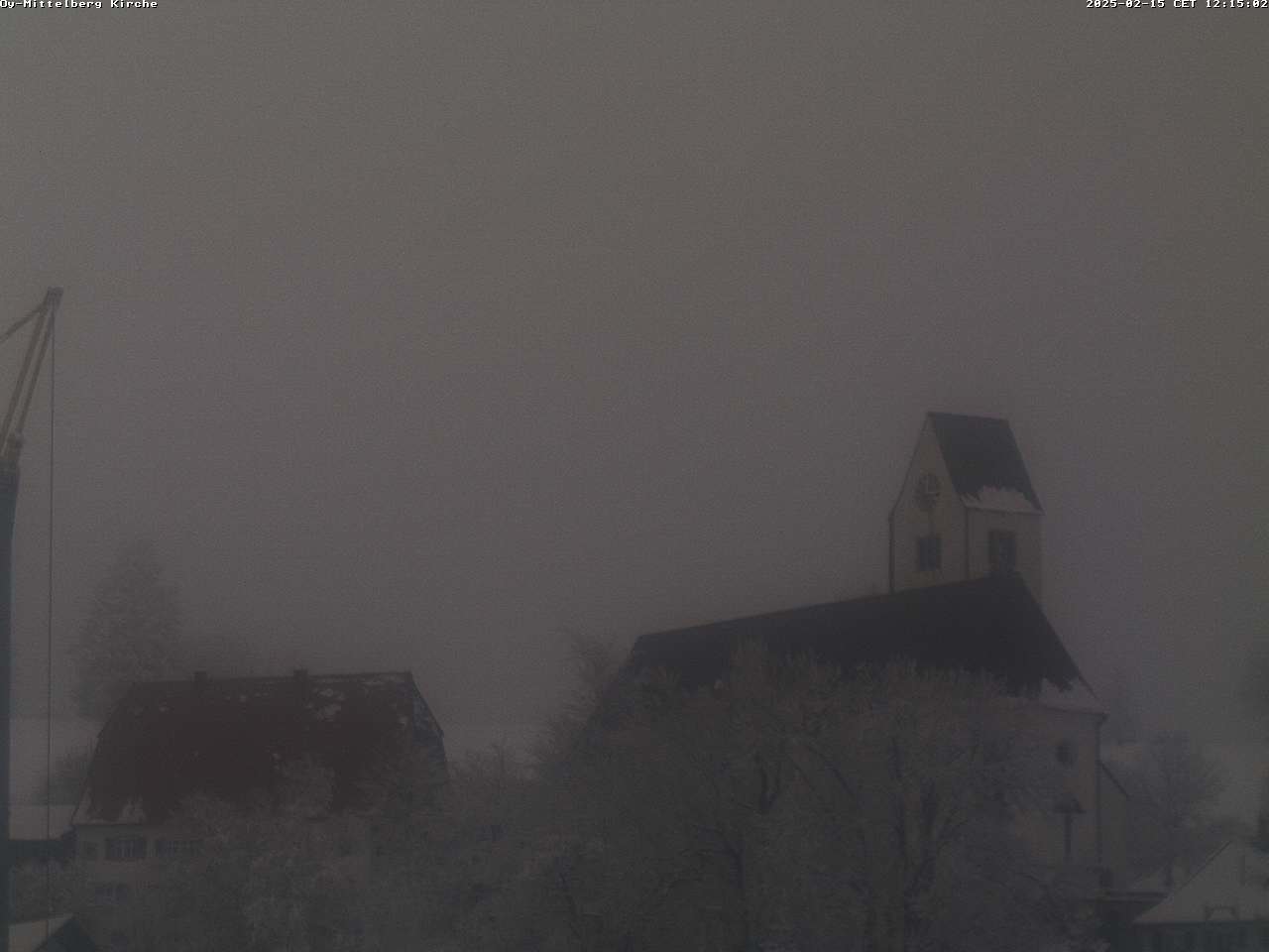 15.02.2025 12:17