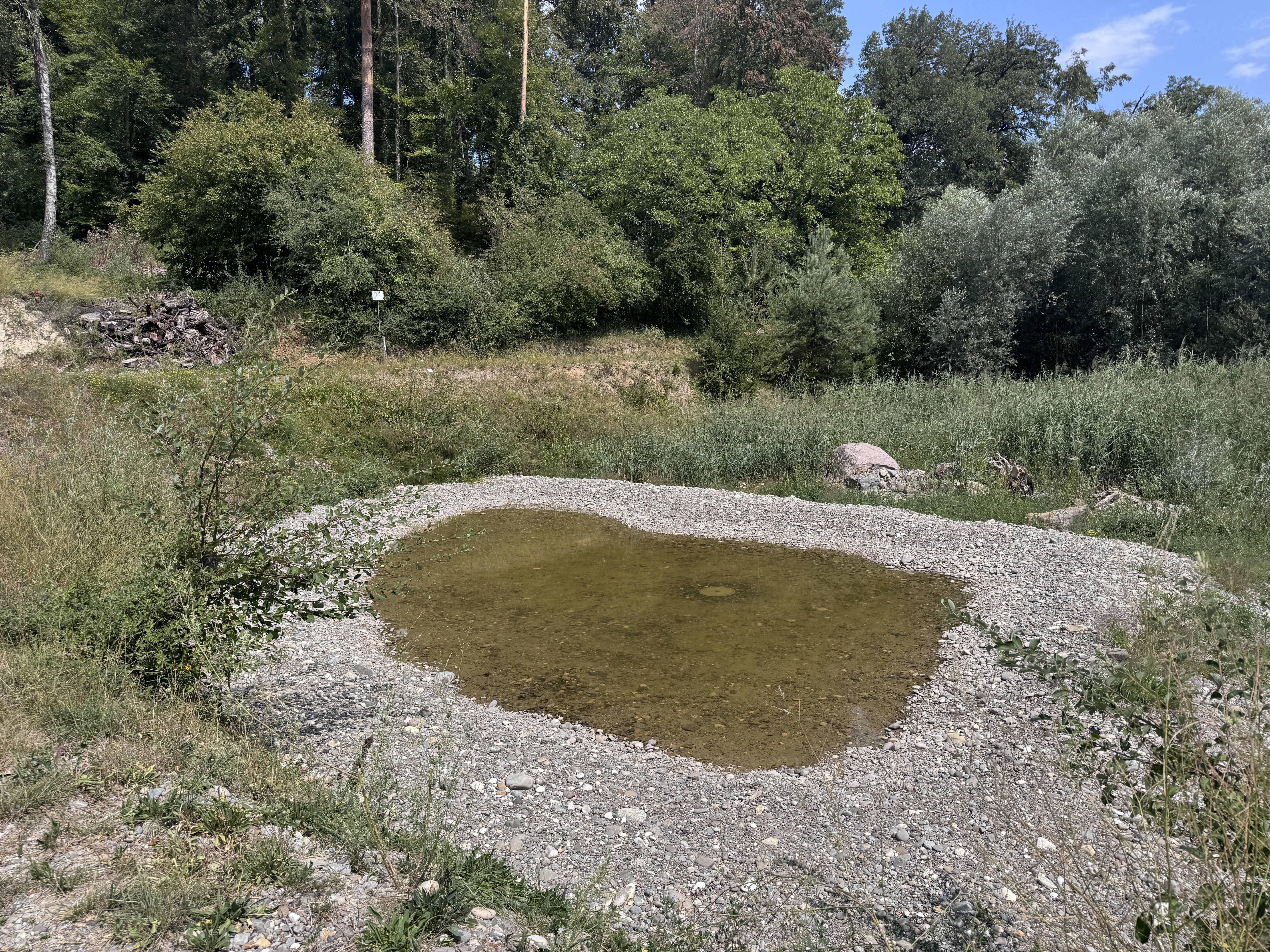 Biodiversitätsförderung im Kiesgrubenbiotop
