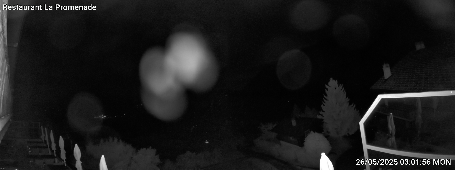 41h ago - 04:01