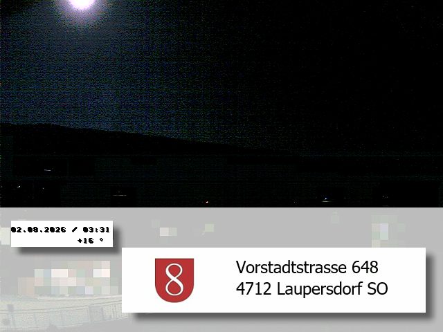 8h ago - 03:31