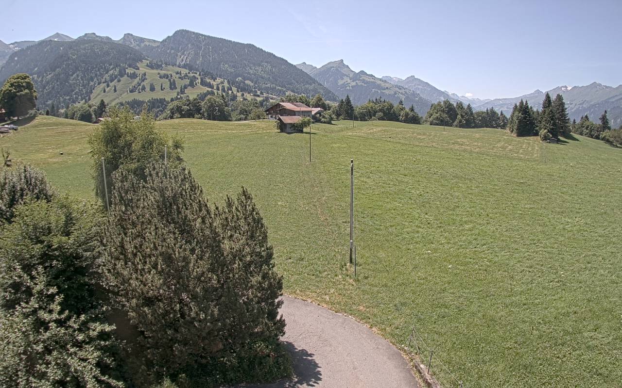 22.06.2025 12:25