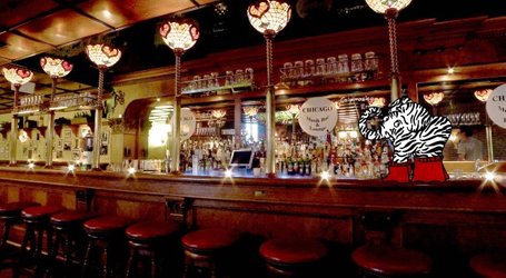 Der%20Zebrafant%20in%20der%20Chicago%20Bar