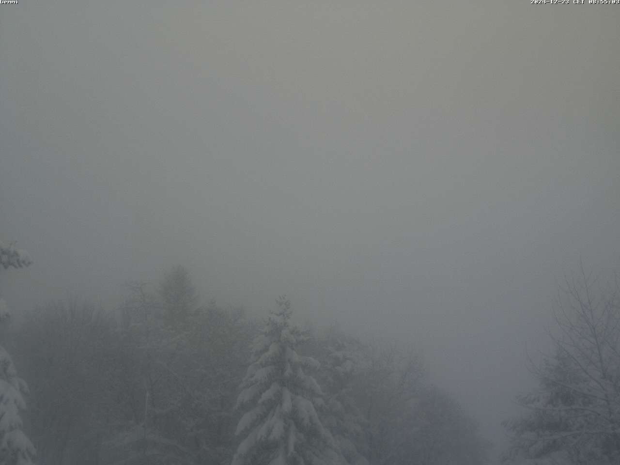 23.12.2024 12:02