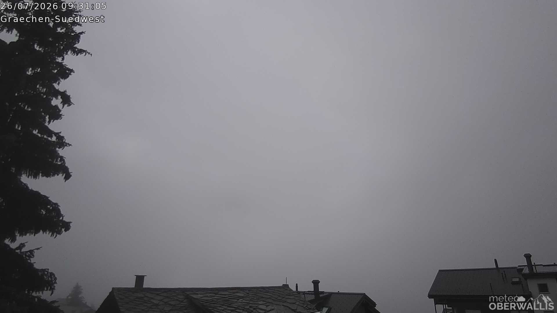 13h ago - 09:31