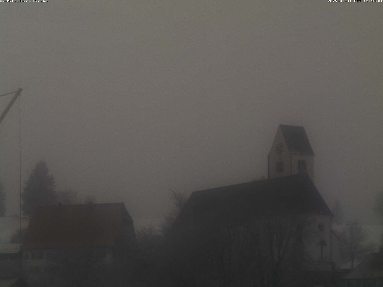 31.01.2025 12:17