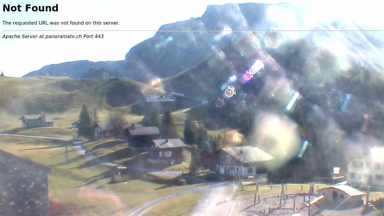 11.11.2024 12:05