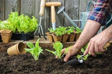 Frühlingsmarkt – Setzlinge, Kreativmarkt, Kinderprogramm - 1