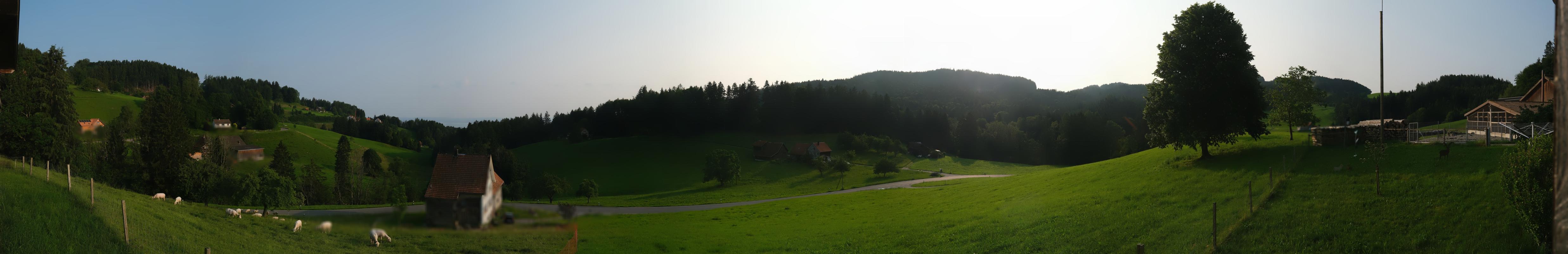 42h ago - 07:32