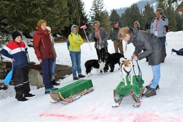 Winter-Military am Flumserberg - 1