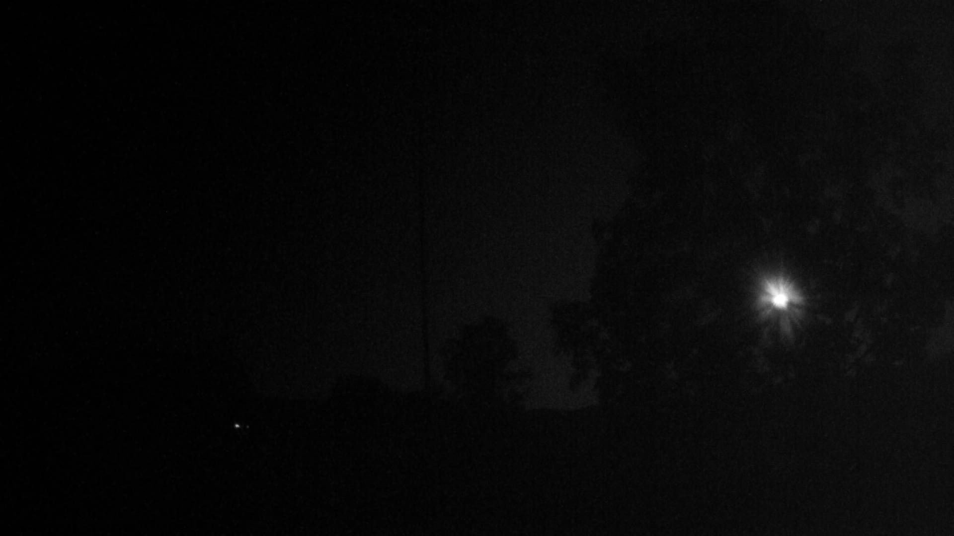 36h ago - 01:30