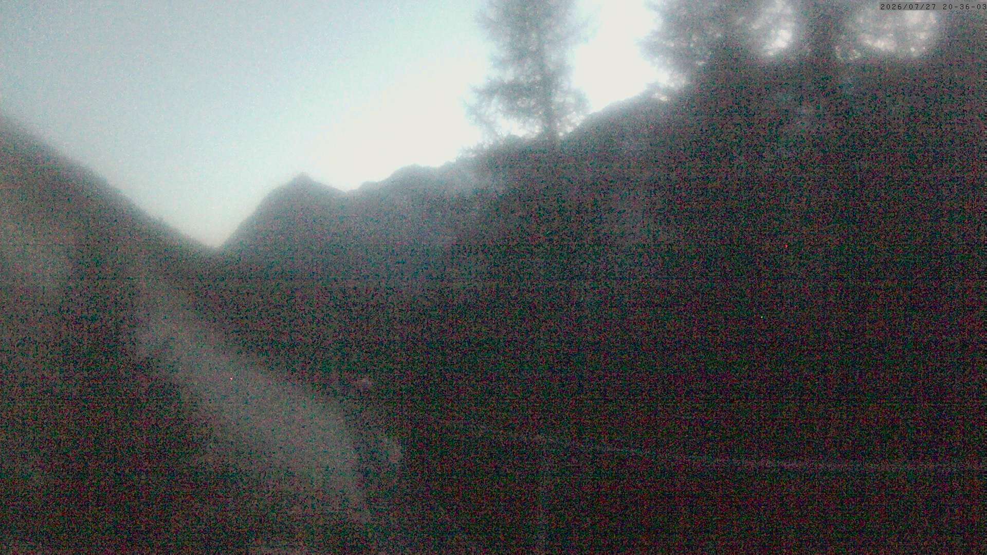 8h ago - 21:36