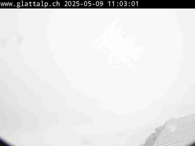 4h ago - 11:01